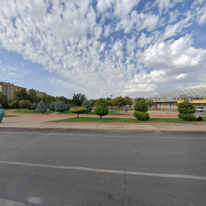Fotoğraf 6