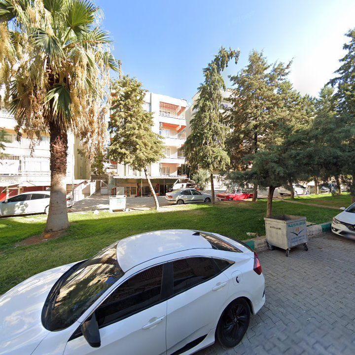 Fotoğraf 9