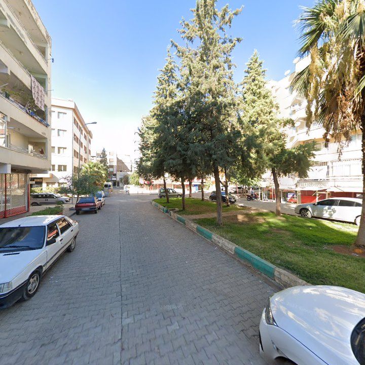 Fotoğraf 8