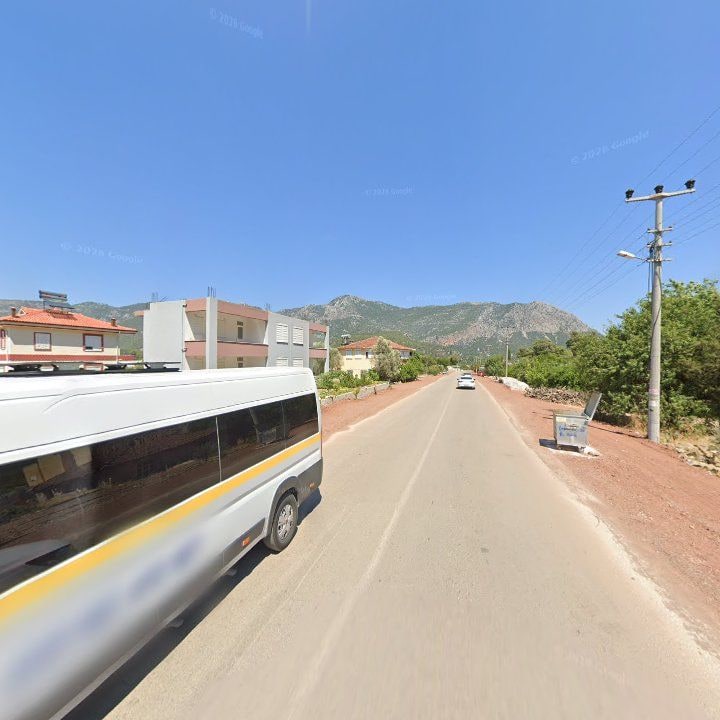 Fotoğraf 8