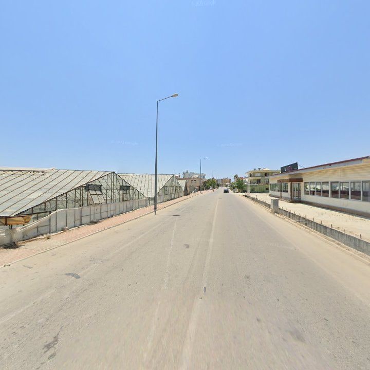 Fotoğraf 10