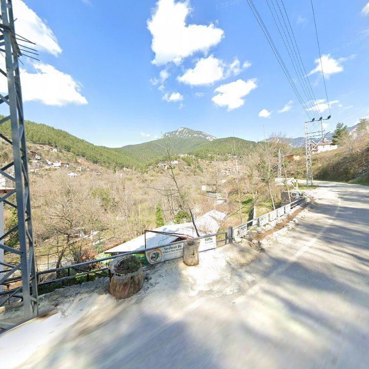 Fotoğraf 10