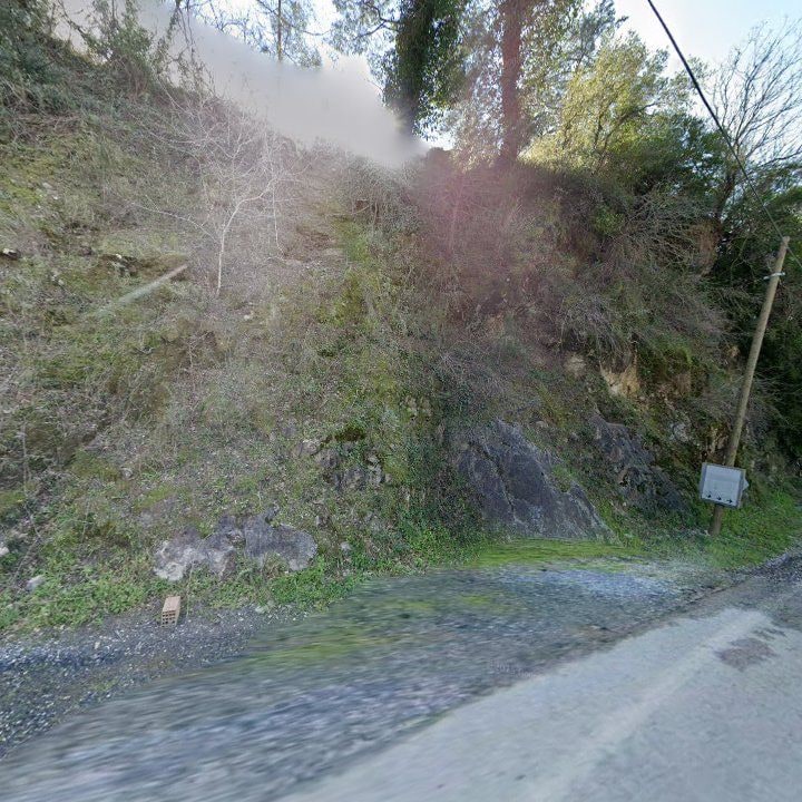 Fotoğraf 12