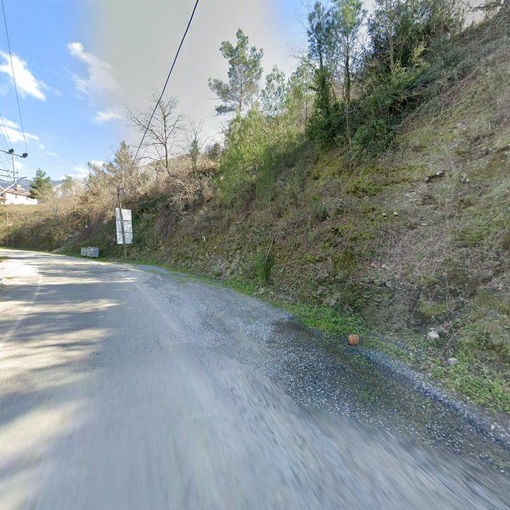 Fotoğraf 11