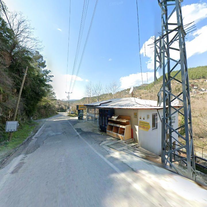 Fotoğraf 9