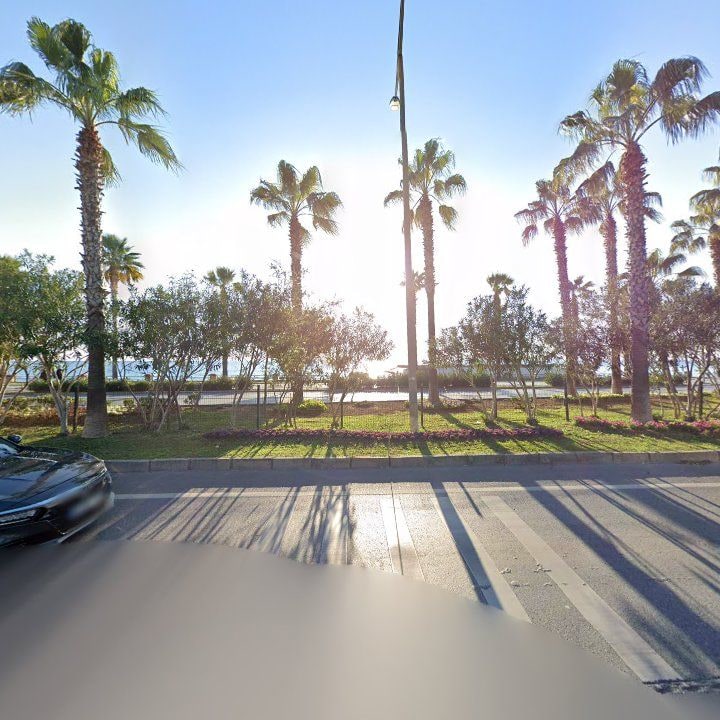 Fotoğraf 13