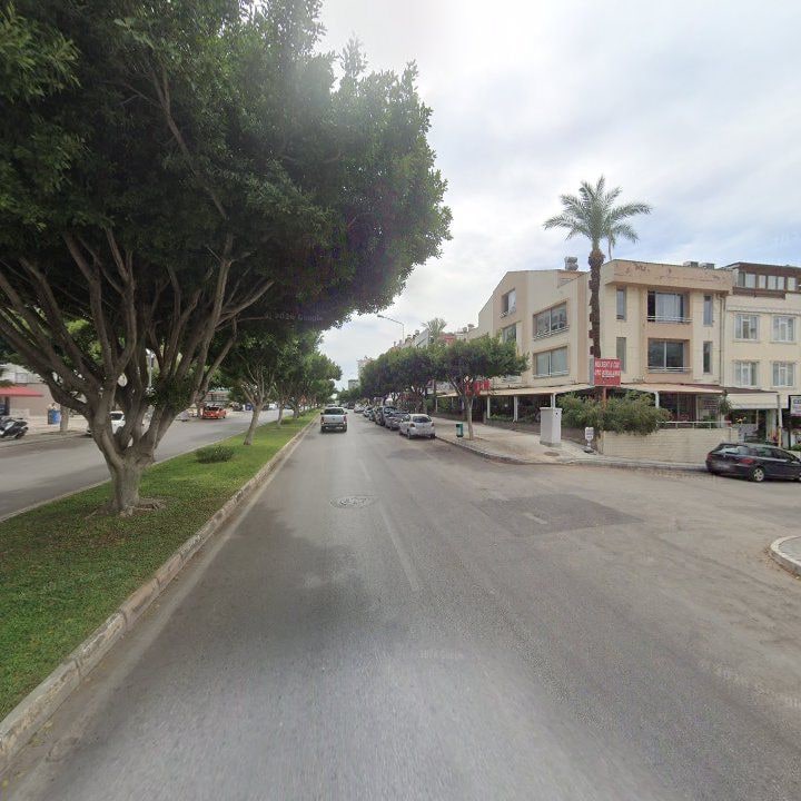 Fotoğraf 14