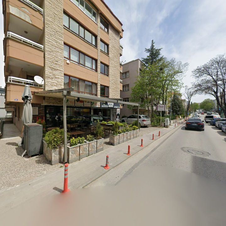 Fotoğraf 12