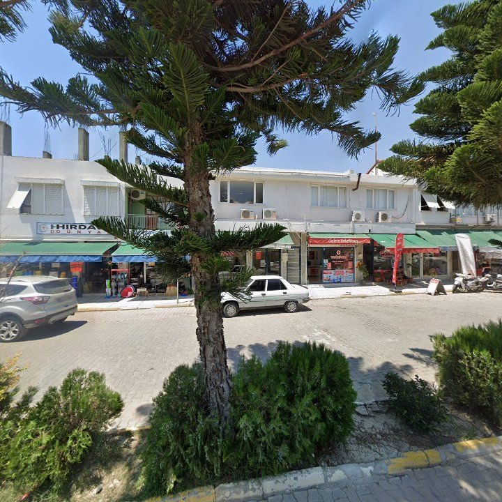 Fotoğraf 10