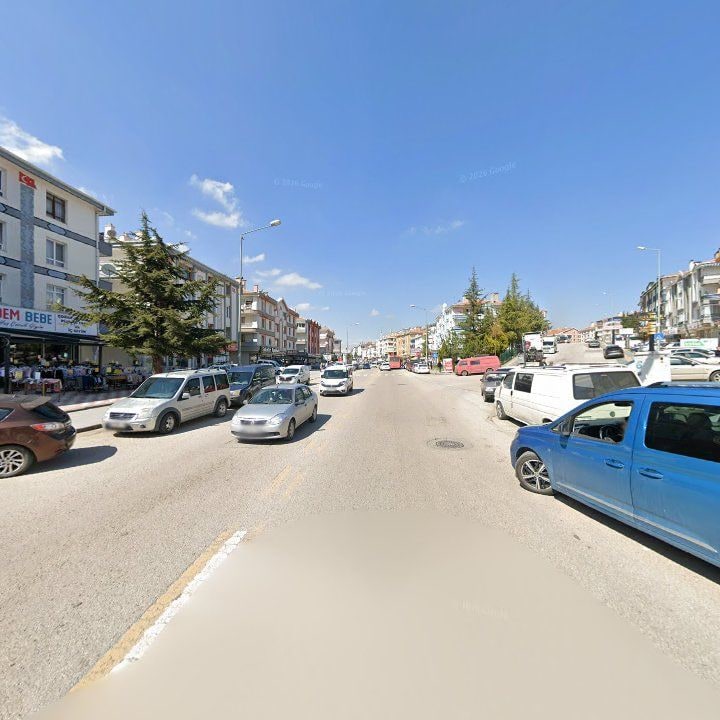 Fotoğraf 8