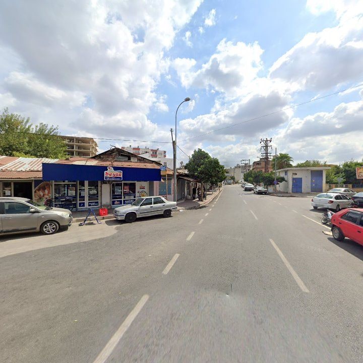 Fotoğraf 8
