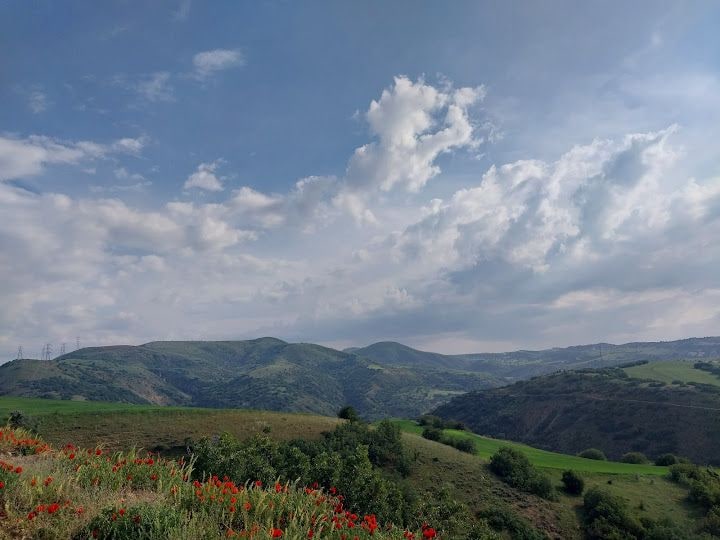 Saray Hobi Bahçesi