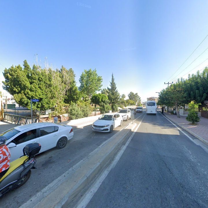 Fotoğraf 7