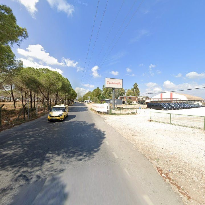 Fotoğraf 8