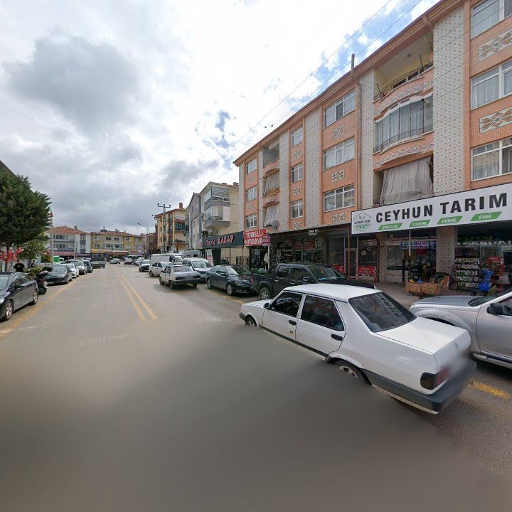 Fotoğraf 10