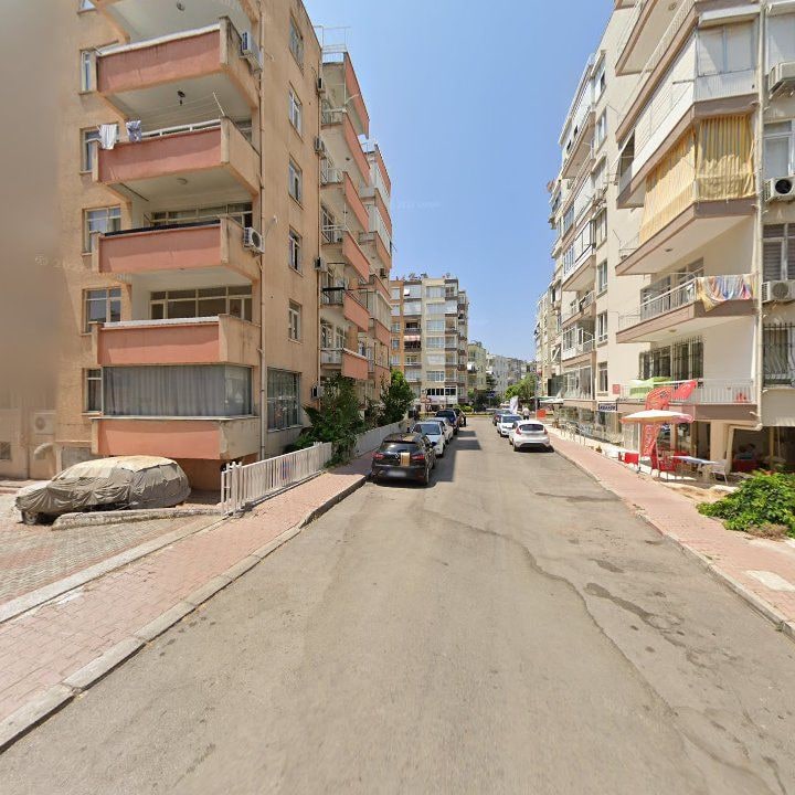 Fotoğraf 12