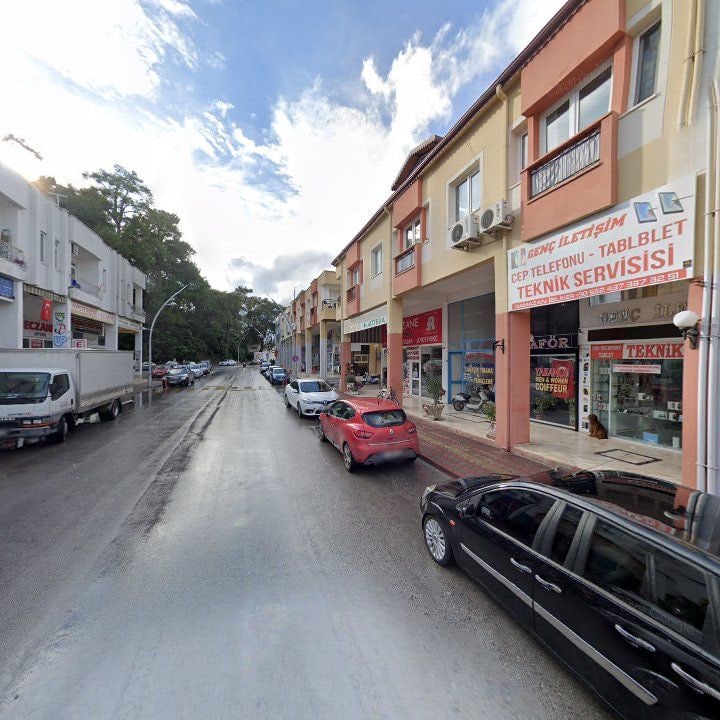 Fotoğraf 8