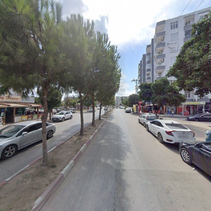 Fotoğraf 9
