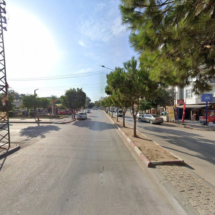 Fotoğraf 8