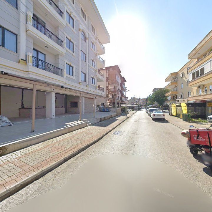 Fotoğraf 7