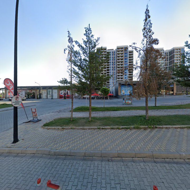 Fotoğraf 7
