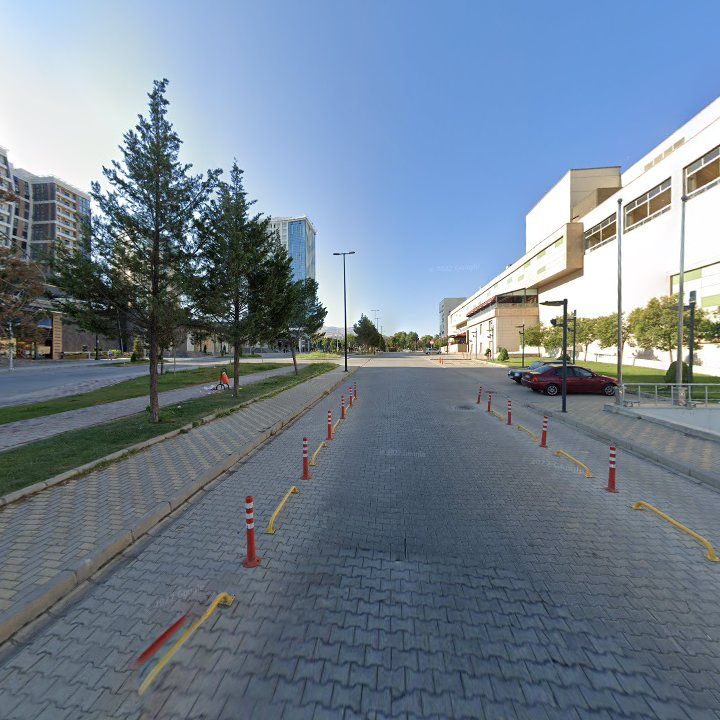 Fotoğraf 8