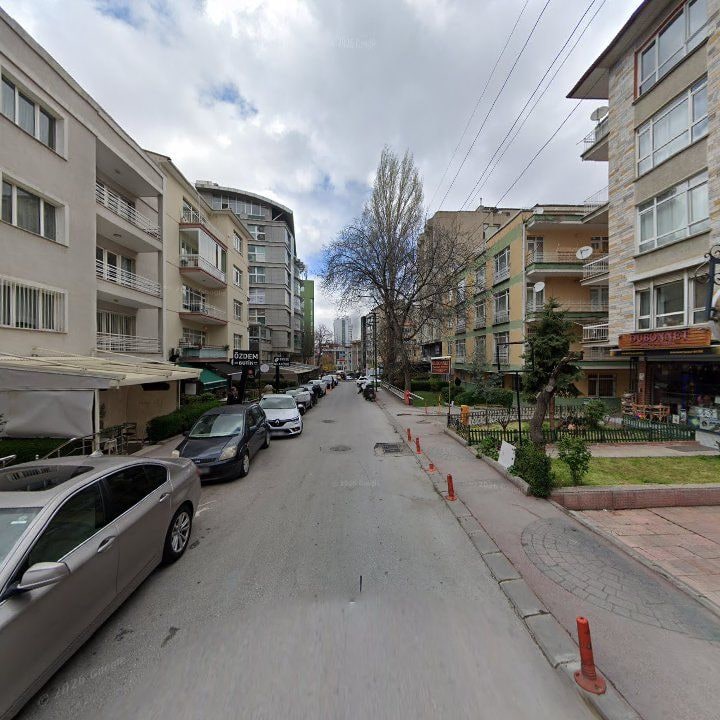 Fotoğraf 14