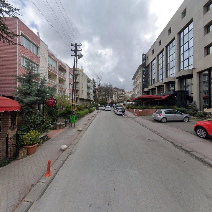 Fotoğraf 12