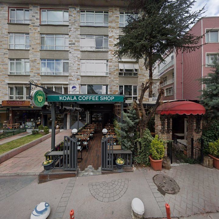 Fotoğraf 11