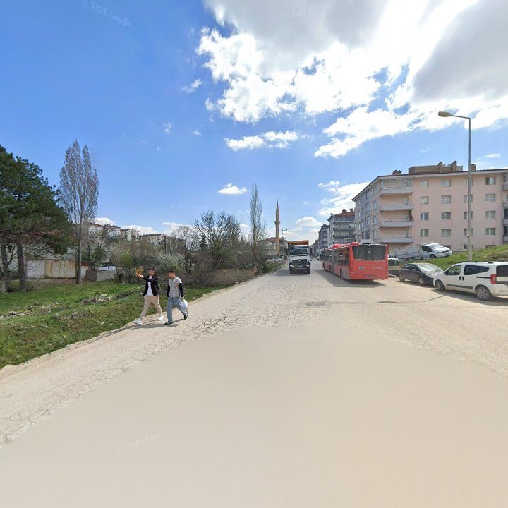 Fotoğraf 8