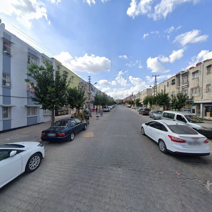 Fotoğraf 6