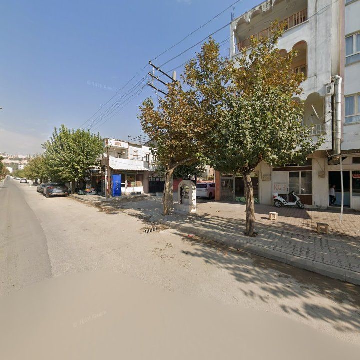 Fotoğraf 4
