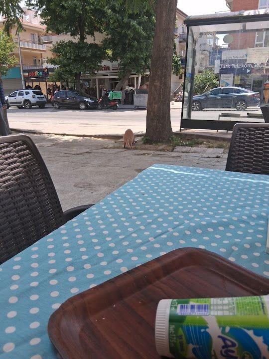 Fotoğraf 2