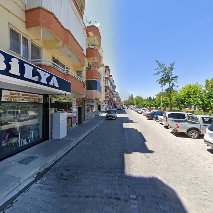 Fotoğraf 9