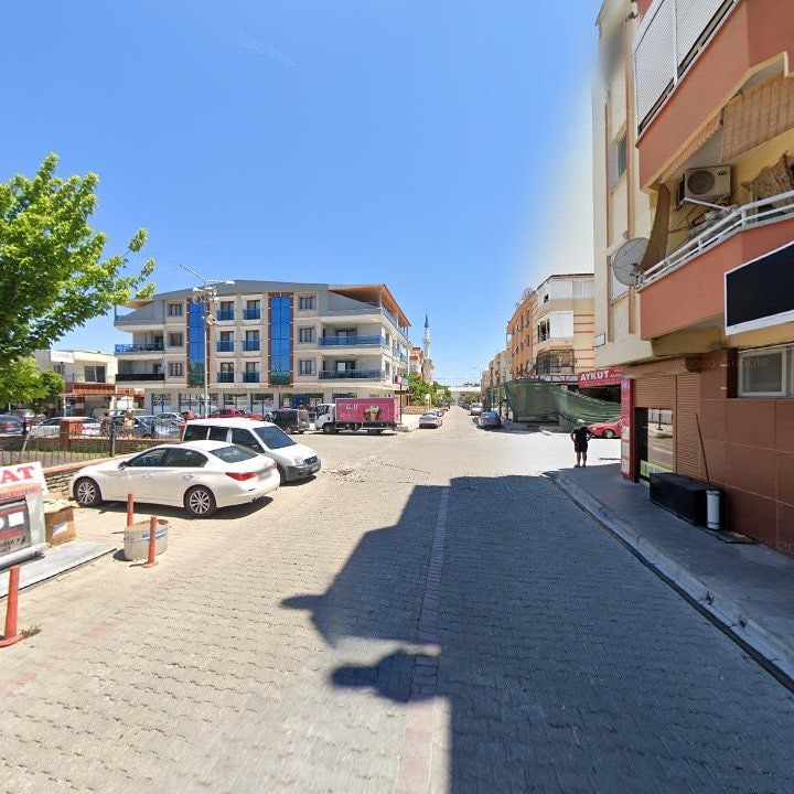Fotoğraf 11