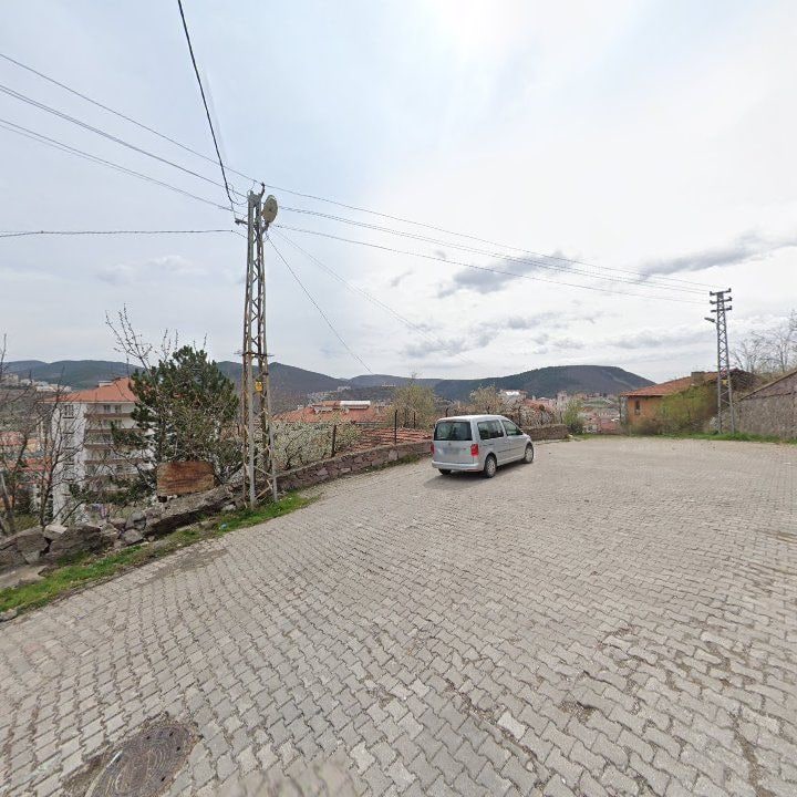 Fotoğraf 7