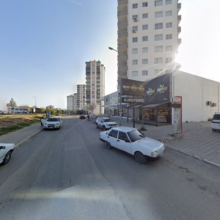 Fotoğraf 7