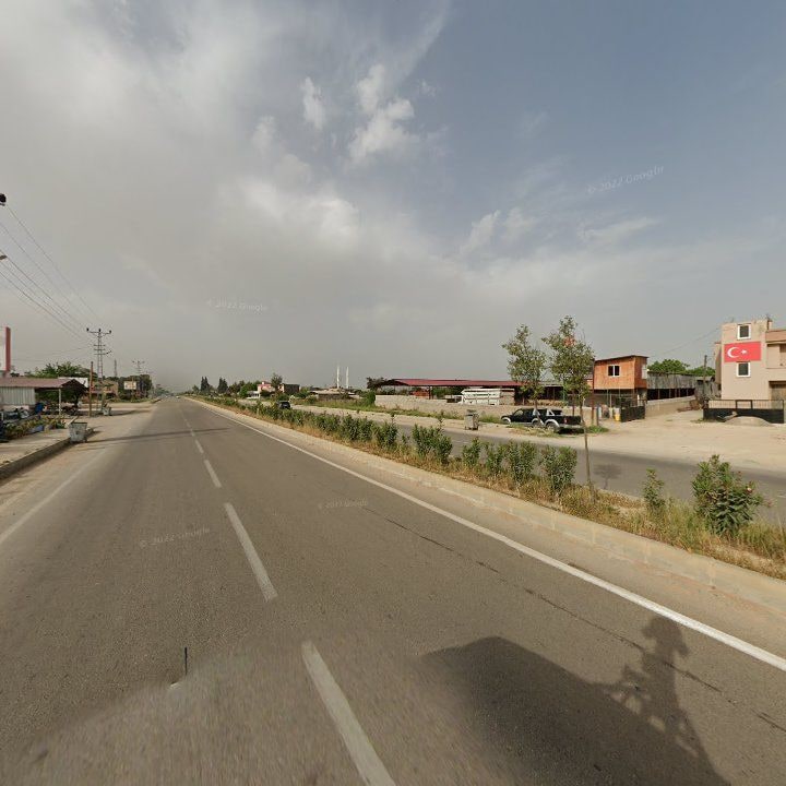 Fotoğraf 7
