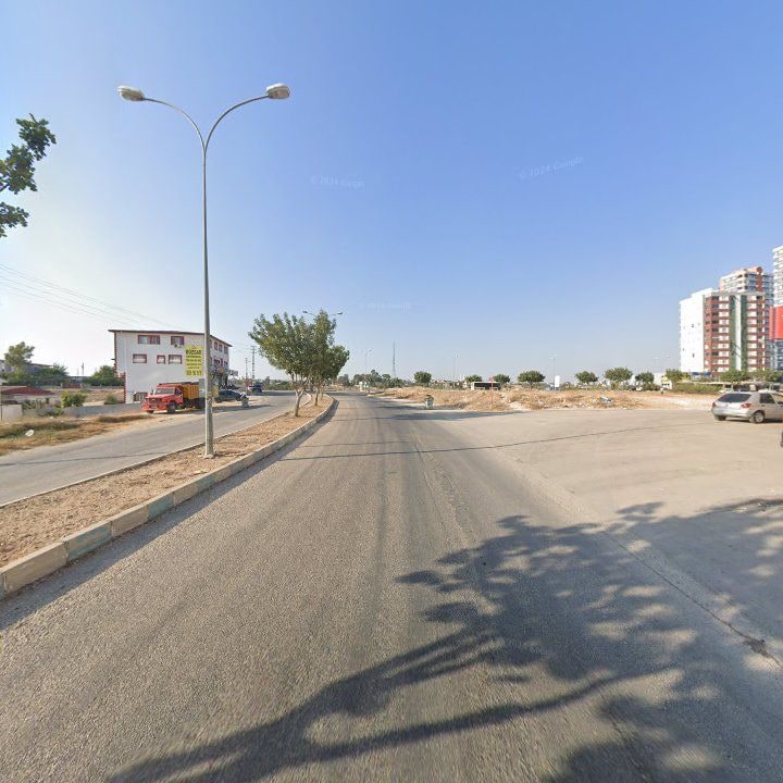 Fotoğraf 7