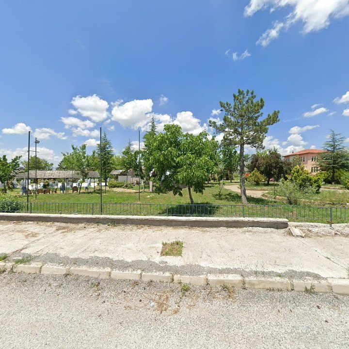 Fotoğraf 7