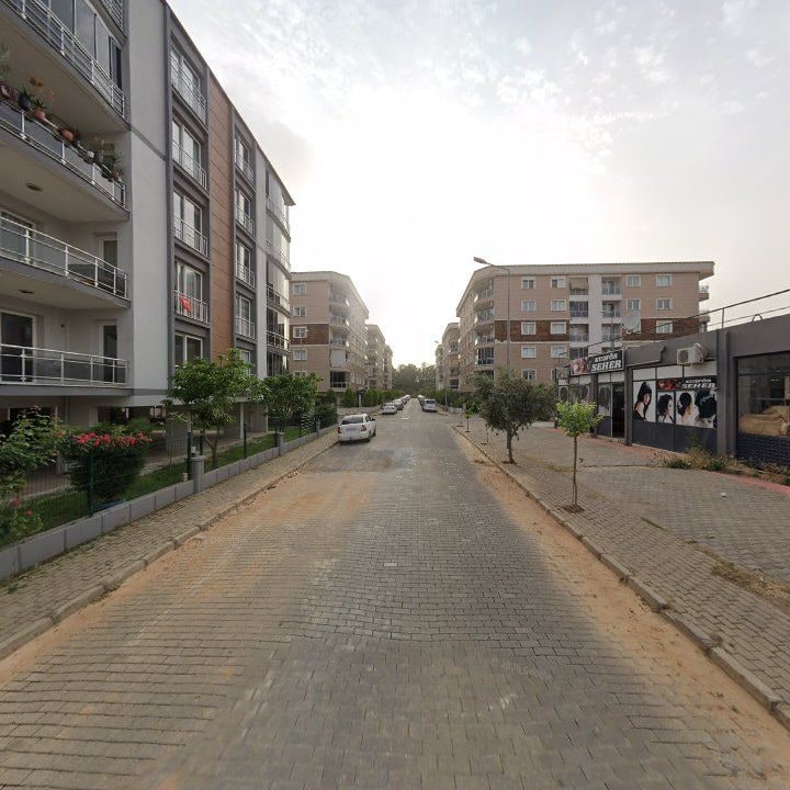 Fotoğraf 7