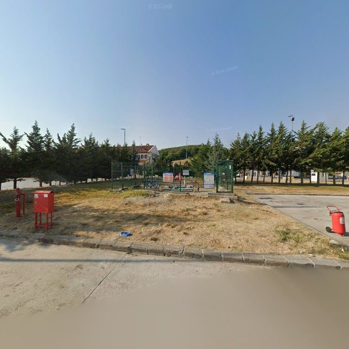 Fotoğraf 9