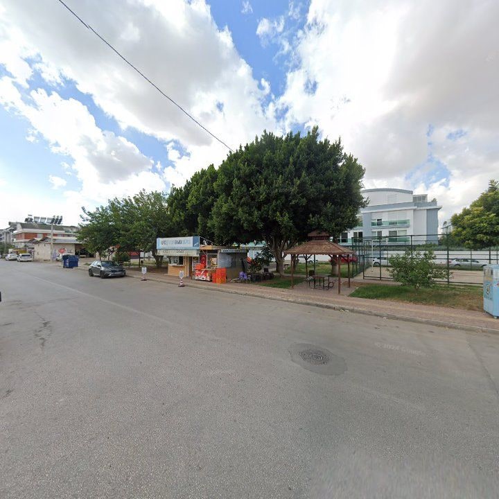 Fotoğraf 12