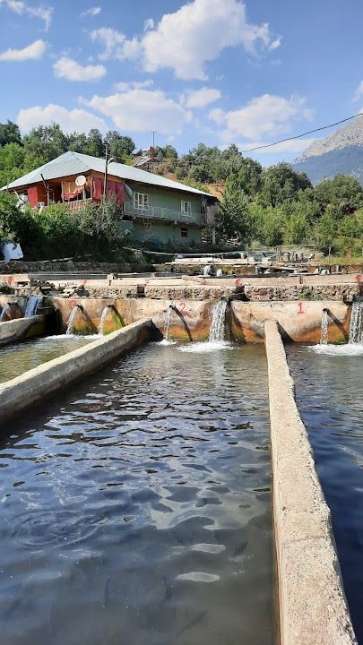 Saripinar Dinçer Alabalık Tesisleri