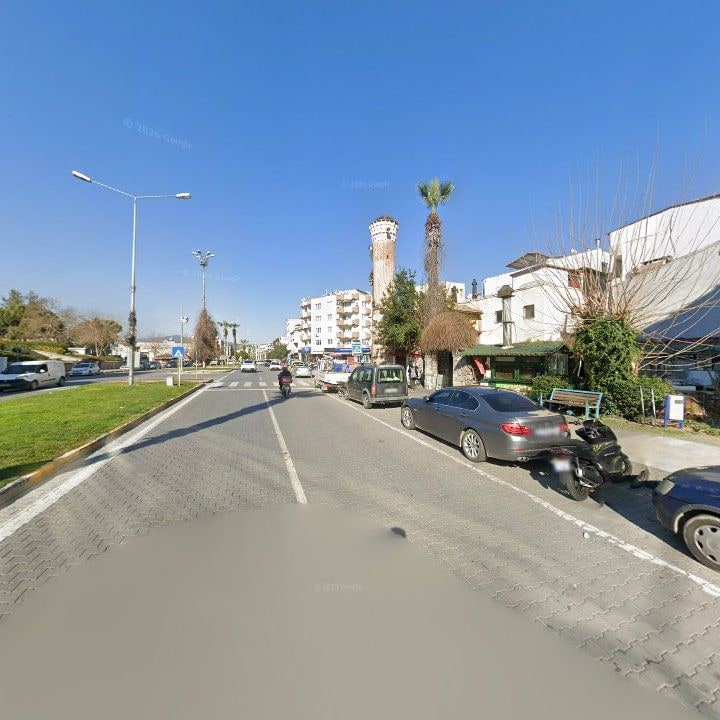 Fotoğraf 8