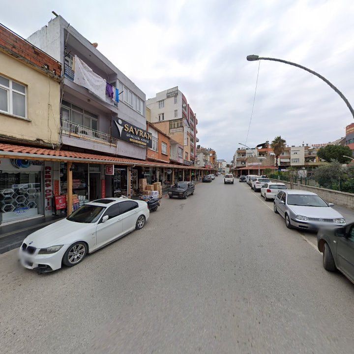 Fotoğraf 7