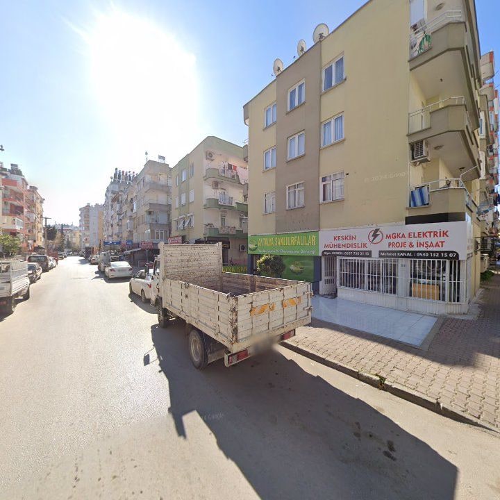 Fotoğraf 10