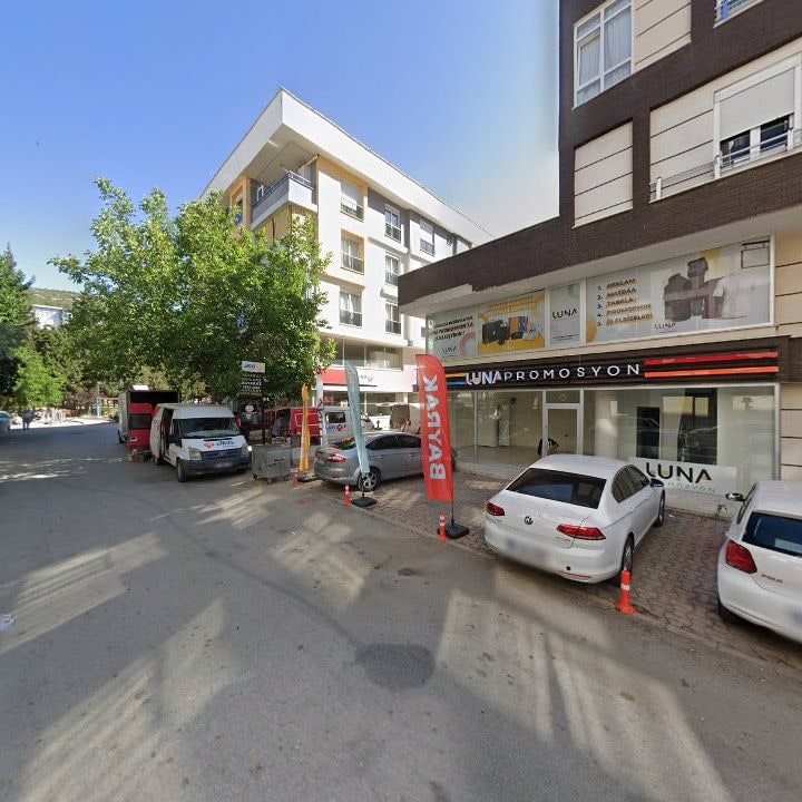 Fotoğraf 11