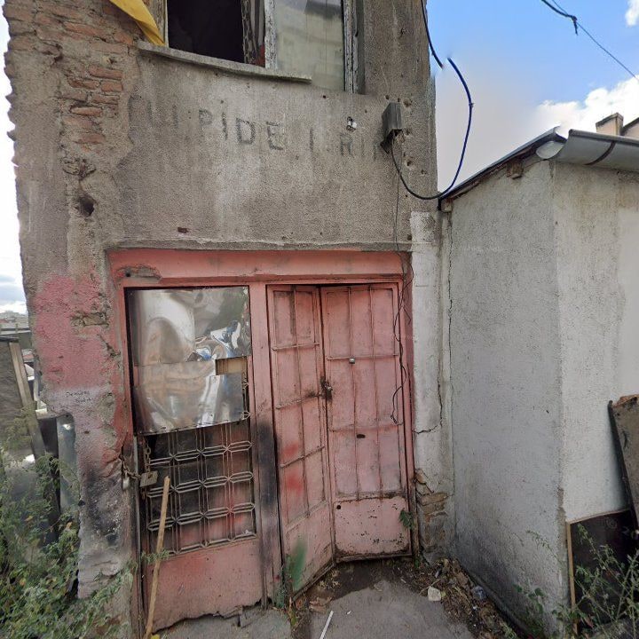 Fotoğraf 9