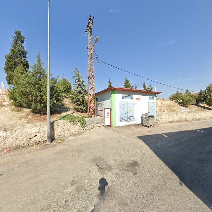 Saruhan Kayısı